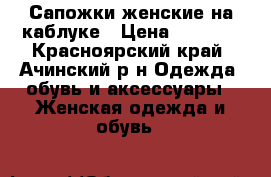 Сапожки женские на каблуке › Цена ­ 1 000 - Красноярский край, Ачинский р-н Одежда, обувь и аксессуары » Женская одежда и обувь   